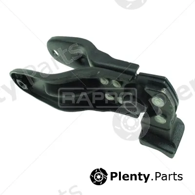 Rapro R51958 — Mounting, engine