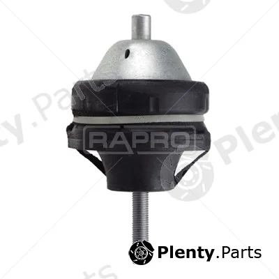 Rapro R54181 — Mounting, engine