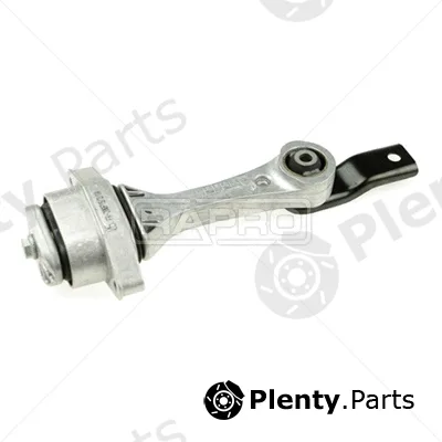 Rapro R55338/O — Mounting, engine