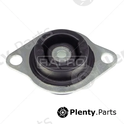 Rapro R54894 — Mounting, engine