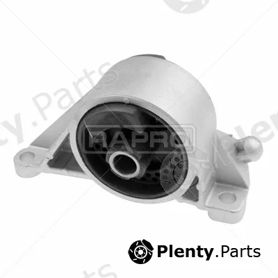 Rapro R54824 — Mounting, engine