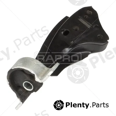 Rapro R54107 — Mounting, engine