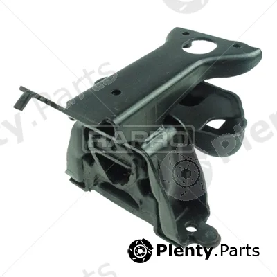 Rapro R51948 — Mounting, engine