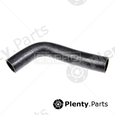 Rapro R11100 — Radiator Hose