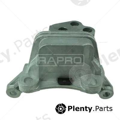 Rapro R51557/O — Mounting, engine