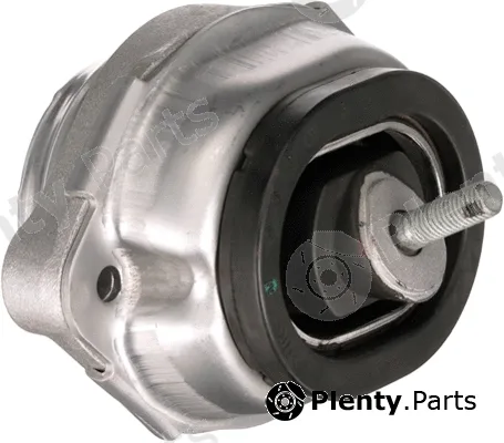 Rapro R55592 — Mounting, engine