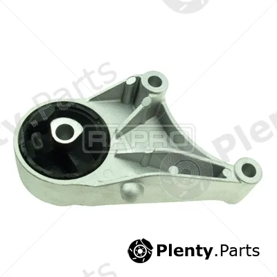 Rapro R51688 — Mounting, engine
