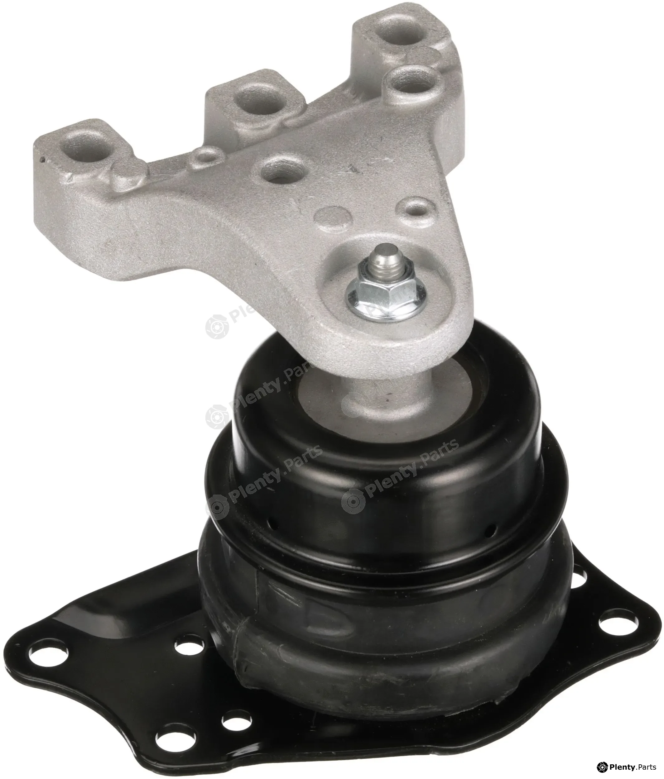 Rapro R55585 — Mounting, engine