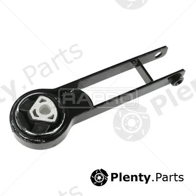Rapro R54480 — Mounting, engine