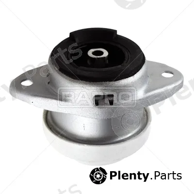 Rapro R54172 — Mounting, engine