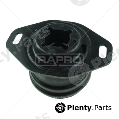 Rapro R51935 — Mounting, engine