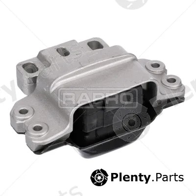 Rapro R55446 — Mounting, engine