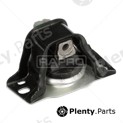 Rapro R55459 — Mounting, engine
