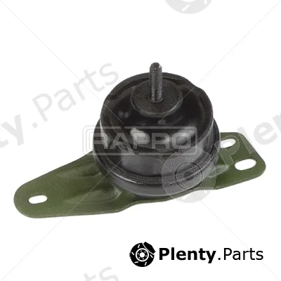 Rapro R59856 — Mounting, engine