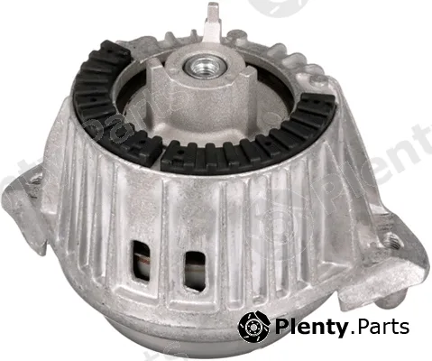 Rapro R55513 — Mounting, engine