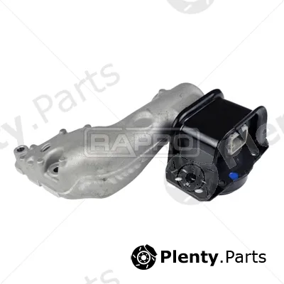 Rapro R54496 — Mounting, engine
