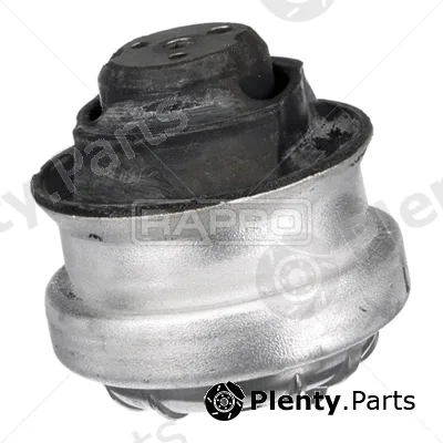 Rapro R55388 — Mounting, engine