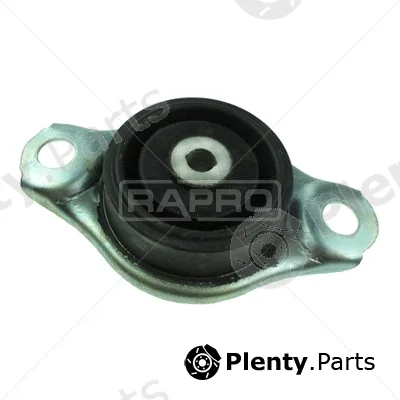 Rapro R53135/O — Mounting, engine