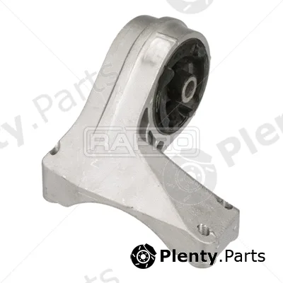Rapro R55458 — Mounting, engine