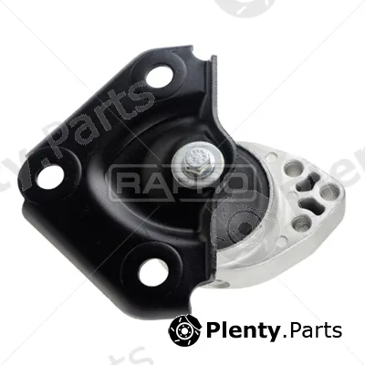 Rapro R54192 — Mounting, engine