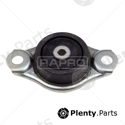 Rapro R54710/O — Mounting, engine