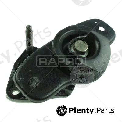 Rapro R51949 — Mounting, engine