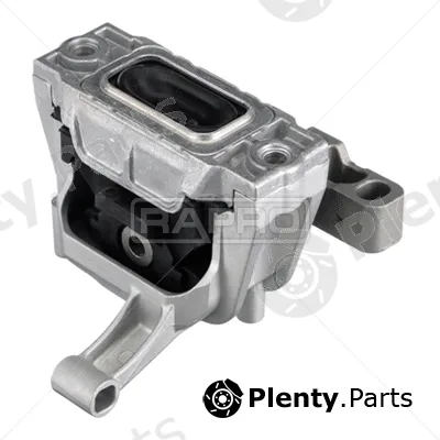 Rapro R55355 — Mounting, engine