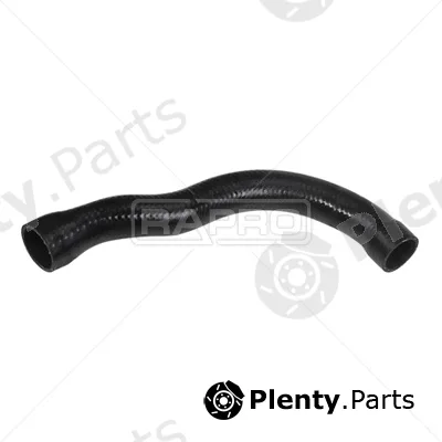 Rapro R19119 — Radiator Hose