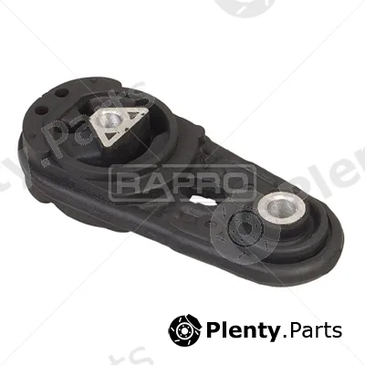 Rapro R52192 — Mounting, engine