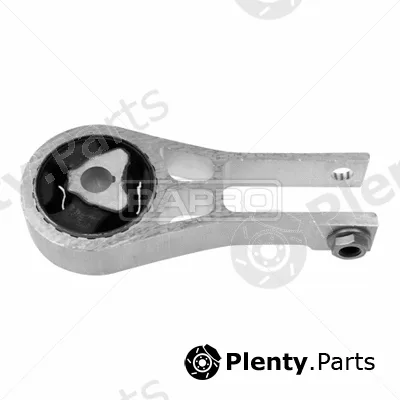 Rapro R54714/O — Mounting, engine