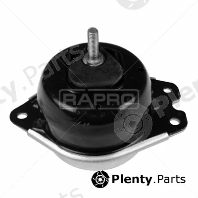 Rapro R52104 — Mounting, engine