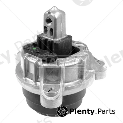 Rapro R54778 — Mounting, engine