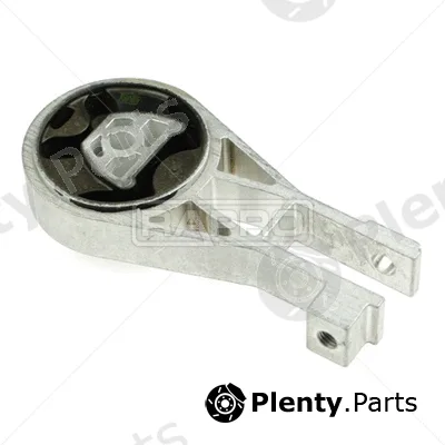 Rapro R50118 — Mounting, engine