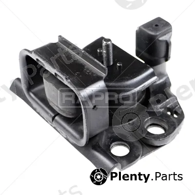 Rapro R51125 — Mounting, engine