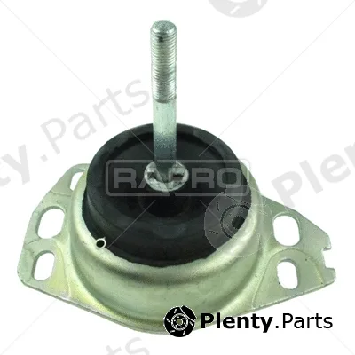 Rapro R51941 — Mounting, engine