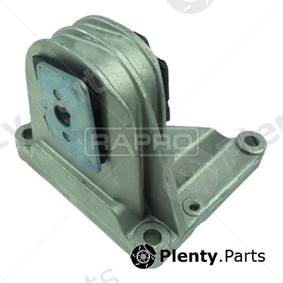 Rapro R50107/O — Mounting, engine