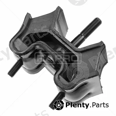 Rapro R54890 — Mounting, engine