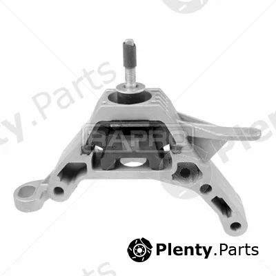Rapro R54666 — Mounting, engine