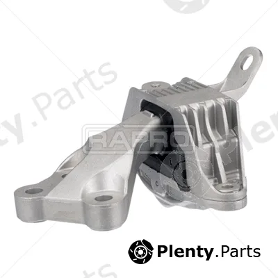 Rapro R55427 — Mounting, engine