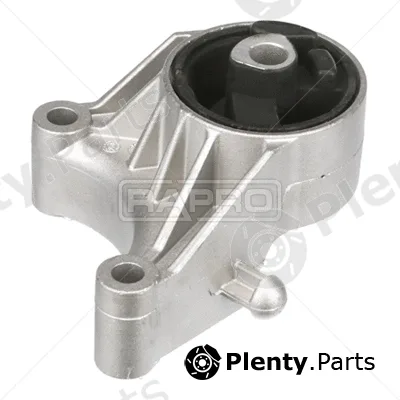 Rapro R55393 — Mounting, engine