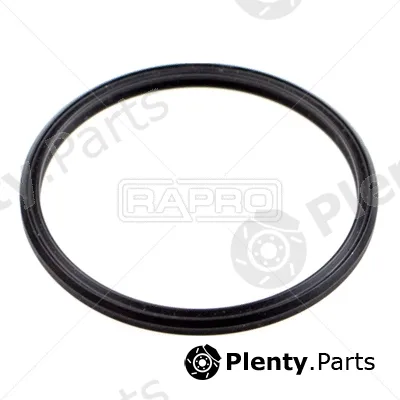 Rapro R19822 — Seal Ring, air filter housing intake hose