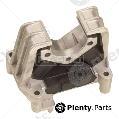Rapro R59099 — Mounting, engine