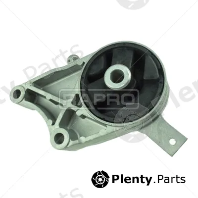 Rapro R51128 — Mounting, engine