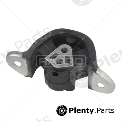 Rapro R59026 — Mounting, engine