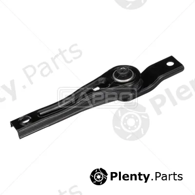 Rapro R55442 — Mounting, engine