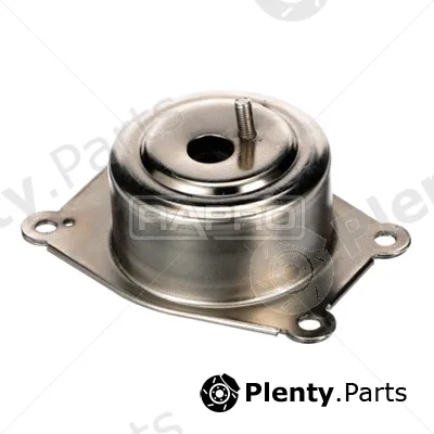 Rapro R55381 — Mounting, engine