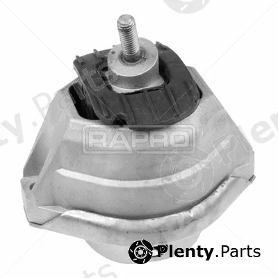 Rapro R54931 — Mounting, engine