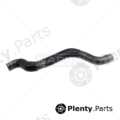 Rapro R11720 — Radiator Hose