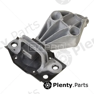 Rapro R59857 — Mounting, engine