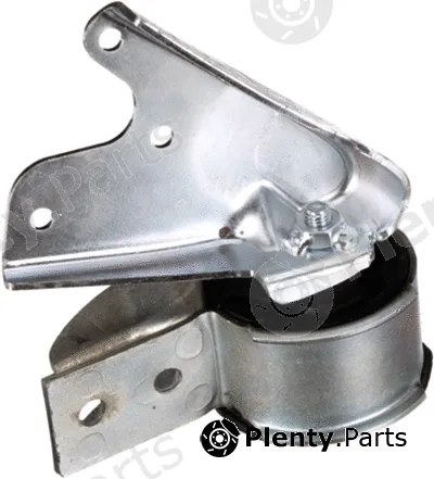 Rapro R55617 — Mounting, engine